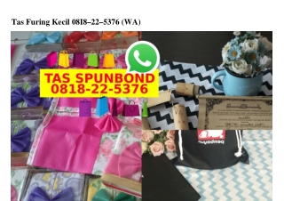 Tas Furing Kecil 0818.22.5376[wa]