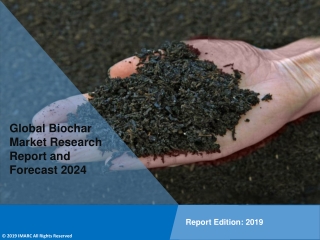 Biochar Market Growth, Demand, Key Player Analysis and Opportunity 2019 - 2024