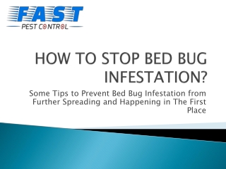 HOW TO STOP BED BUG INFESTATION?