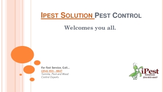 commercial pest control spring | rodent control bellmead