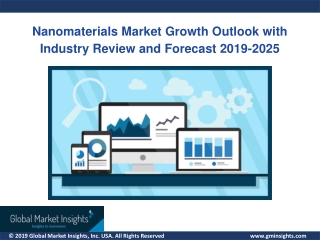 Nanomaterials Market By Regional Statistics & Growth Forecast 2019-2025