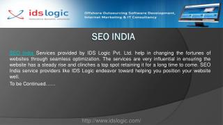 search engine optimization india