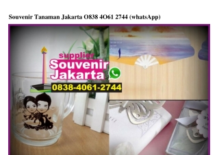 Souvenir Tanaman Jakarta 0838.4061.2744[wa]v