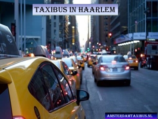 Taxibus in Haarlem