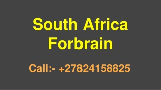 South Africa Forbrain