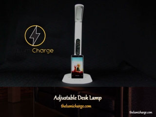 Adjustable desk lamp