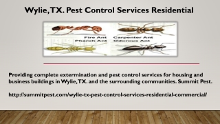 Wylie, TX. Pest Control Services Residential