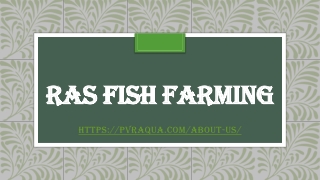 RAS Fish Farming