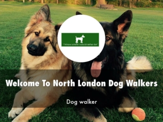 Information Presentation Of North London Dog Walkers