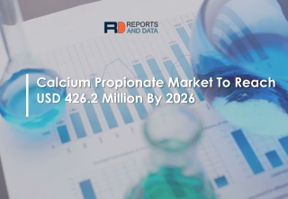 Calcium Propionate Market Strategy Analysis and Forecast 2026