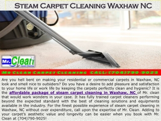 Steam Carpet Cleaning Waxhaw NC