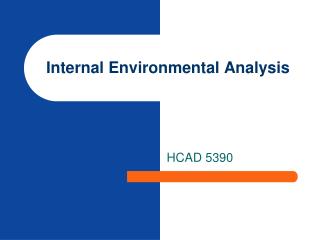 Internal Environmental Analysis