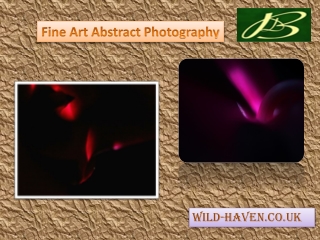 Fine Art Abstract Photography