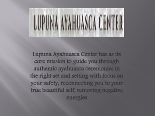 Ayahuasca Center Peru