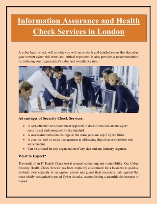 Information Assurance and Health Check Services in London