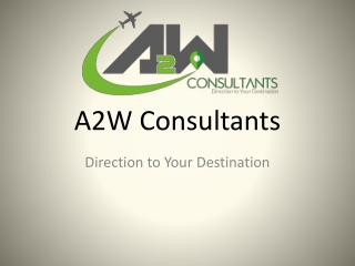 Immigration and Visa Consultants