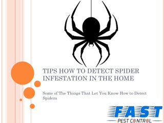 TIPS HOW TO DETECT SPIDER INFESTATION IN THE HOME