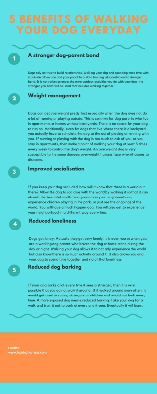 5 Benefits of Walking Your Dog Everyday