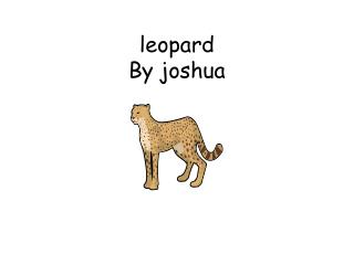 leopard By joshua