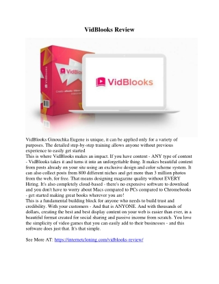 VidBlooks Review