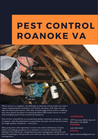 Pest Control Roanoke VA | Killinger Pest Solutions