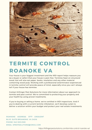 Termite Control Roanoke VA | Killinger Pest Solutions