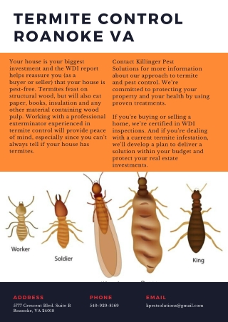 Termite Control Roanoke VA | Killinger Pest Solutions