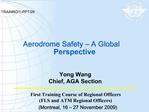 Aerodrome Safety A Global Perspective