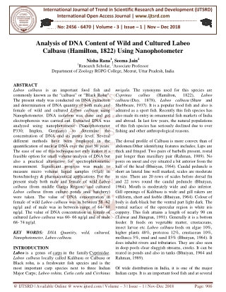 Analysis of DNA Content of Wild and Cultured Labeo Calbasu Hamilton, 1822 Using Nanophotometer