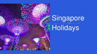 Singapore Holidays
