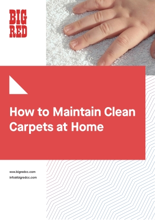 How to Maintain Clean Carpets at Home