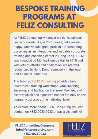 Bespoke Training Programs at FELIZ Consulting