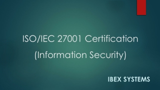 ISO/IEC 27001 Certification - Information Security | Ibex Systems