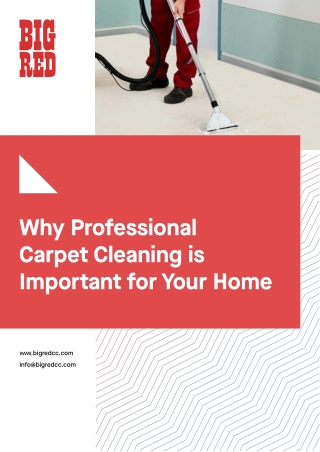 Why Professional Carpet Cleaning is Important for Your Home