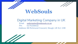 Leading Digital Marketing Company in UK - WebSouls