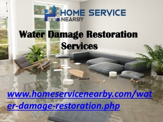 Professional Water Damage Restoration Services Nearby