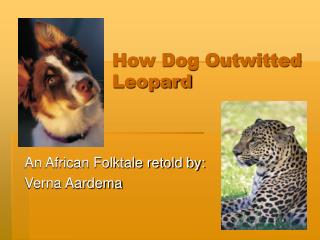 How Dog Outwitted Leopard
