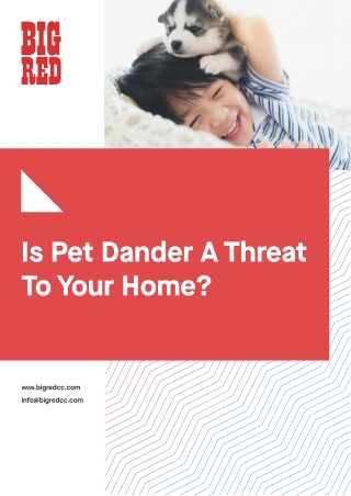 Is Pet Dander A Threat To Your Home?