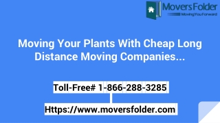 Moving Plants With Cheap Long Distance Moving Companies