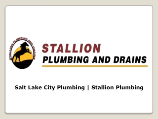 Appoint Salt Lake City Plumbing for the Best Services
