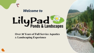 Hire Lily Pad Ponds for Snow Removal and Landscaping Services