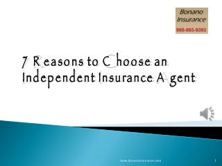 7 Reasons to Choose an Independent Insurance Agent