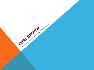 VIRAL GROWW INTERNET MARKETING COMPANY IN DELHI