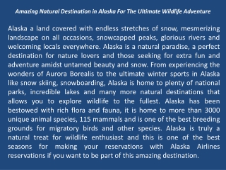 Amazing Natural Destination in Alaska For The Ultimate Wildlife Adventure