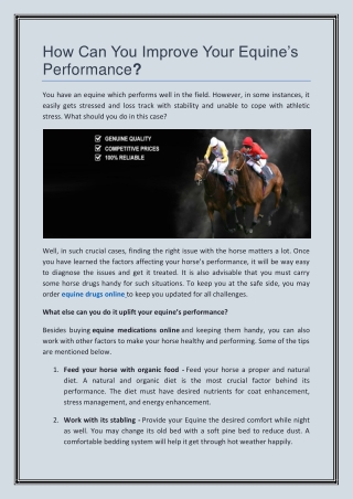 How Can You Improve Your Equine’s Performance?