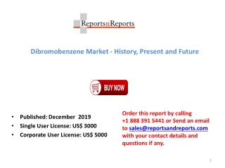 Dibromobenzene Market Report 2019: Industry Size, Share and Forecast 2024