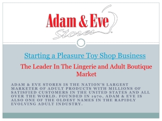 Starting a Pleasure Toy Shop Business