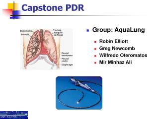 Capstone PDR