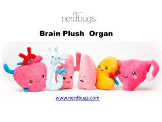 Brain Plush Organ - nerdbugs.com