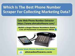 Which Is The Best Phone Number Scraper For Collecting Marketing Data?